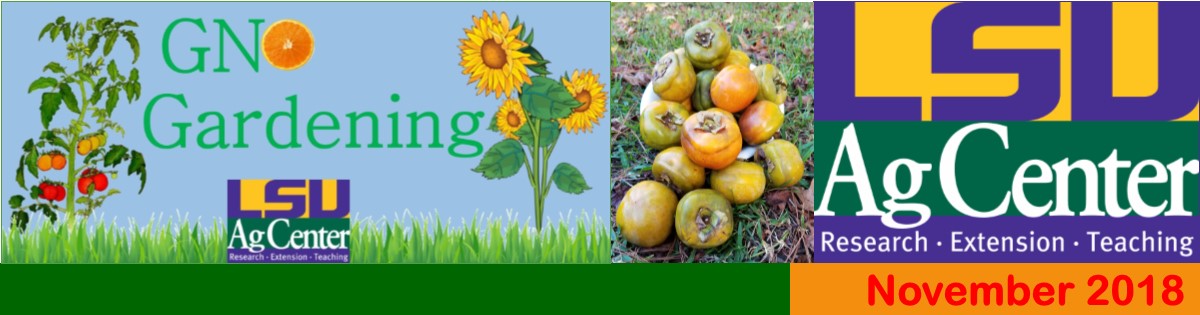 GNO Gardening - November 2018
